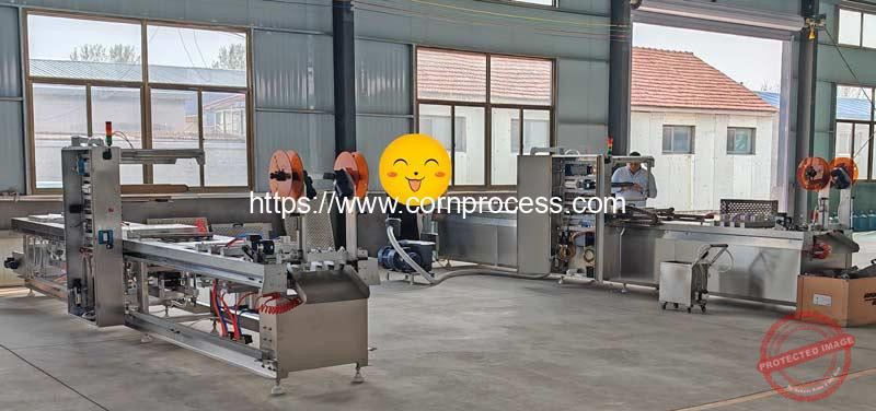 Spain-Customer-Visit-for-Sweet-Corn-Thermoforming-Vacuum-Packing-Machine